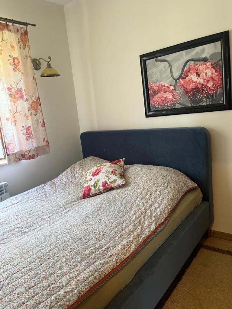 Siedlisko Kępina Zdrój Apartamento Ostrow  Exterior foto