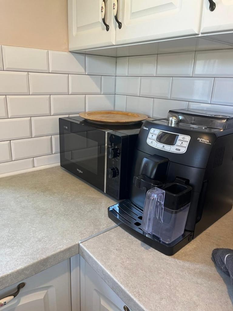 Siedlisko Kępina Zdrój Apartamento Ostrow  Exterior foto