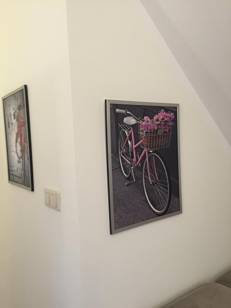 Siedlisko Kępina Zdrój Apartamento Ostrow  Exterior foto
