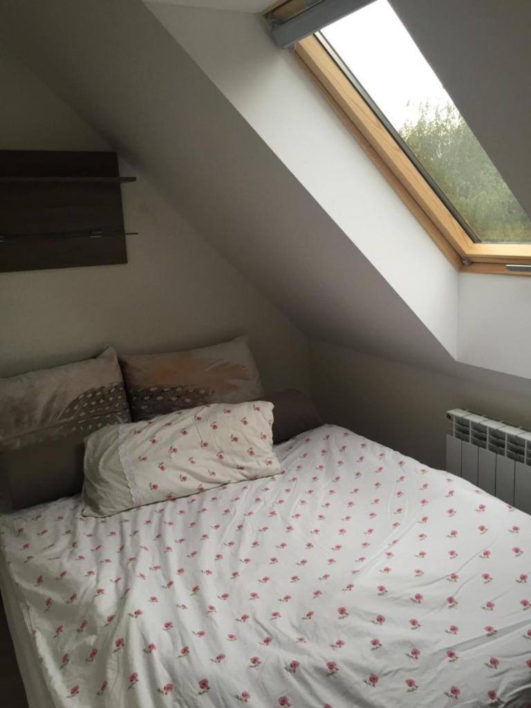 Siedlisko Kępina Zdrój Apartamento Ostrow  Exterior foto