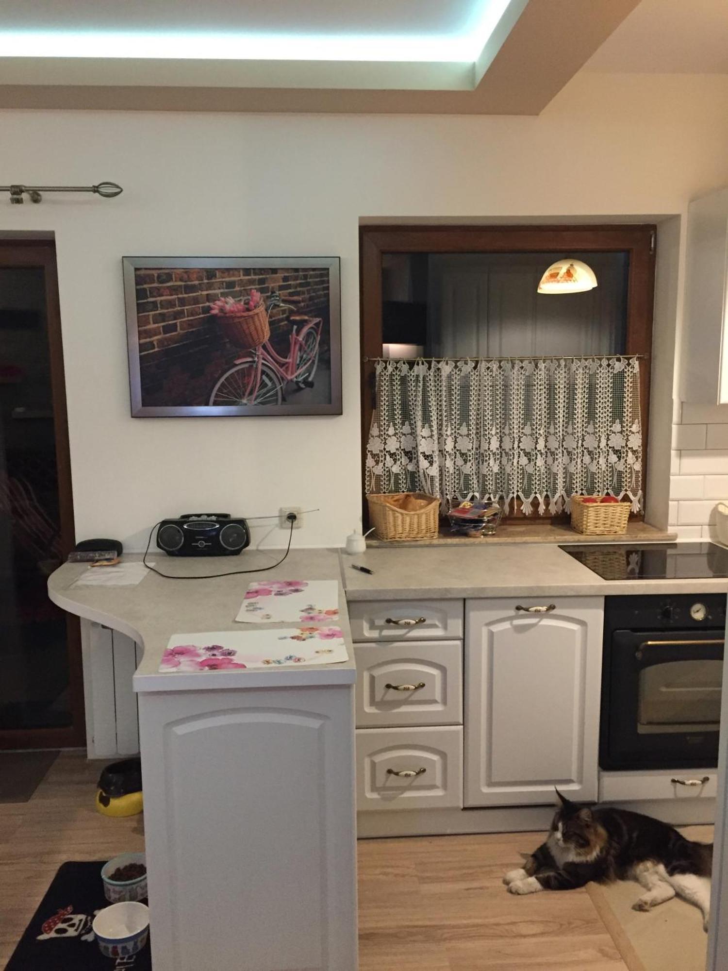 Siedlisko Kępina Zdrój Apartamento Ostrow  Exterior foto