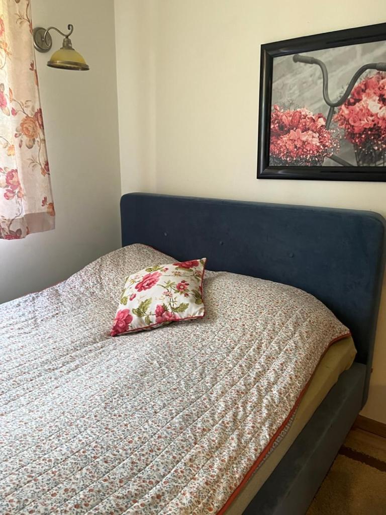 Siedlisko Kępina Zdrój Apartamento Ostrow  Exterior foto
