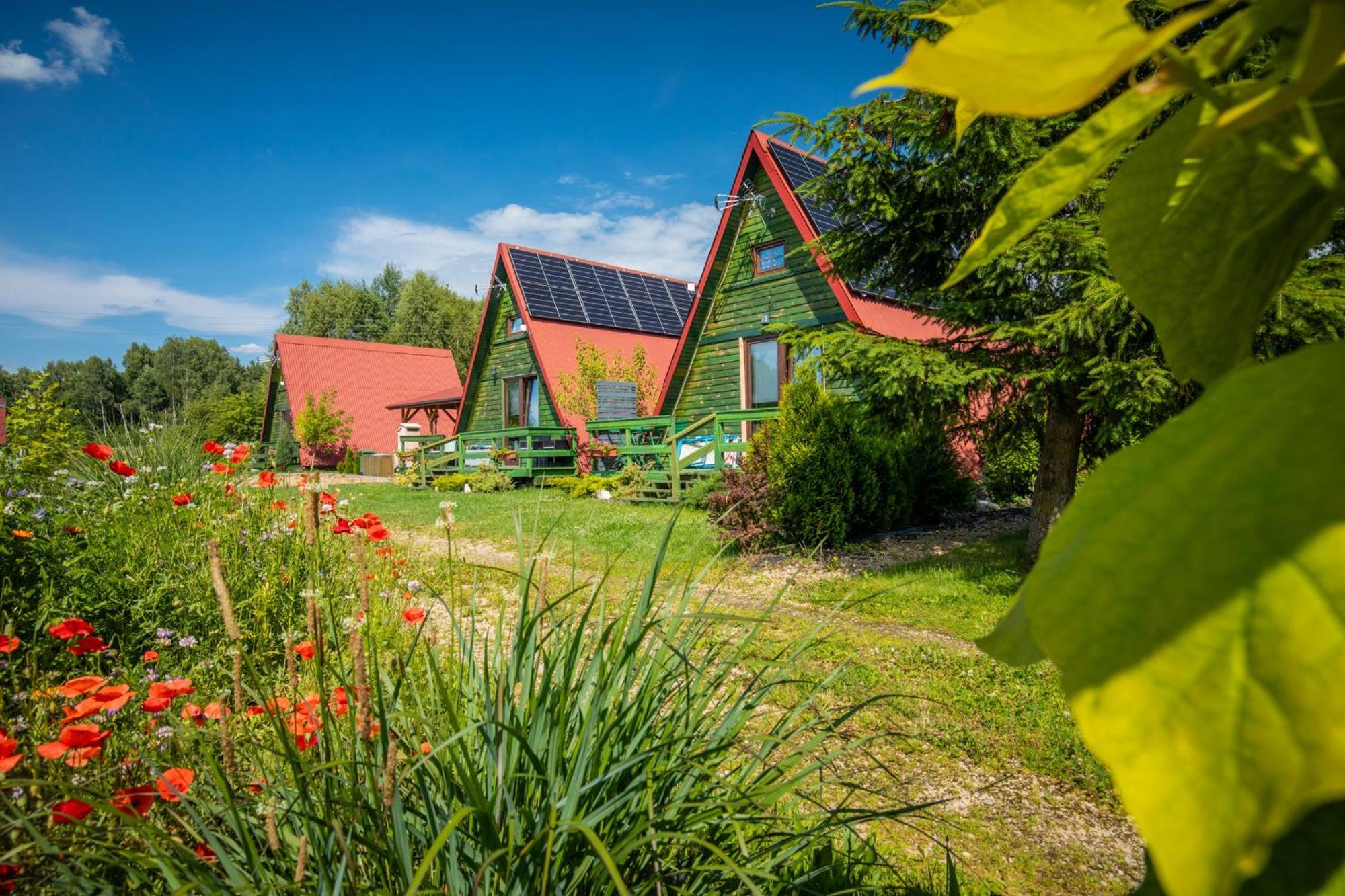Siedlisko Kępina Zdrój Apartamento Ostrow  Exterior foto