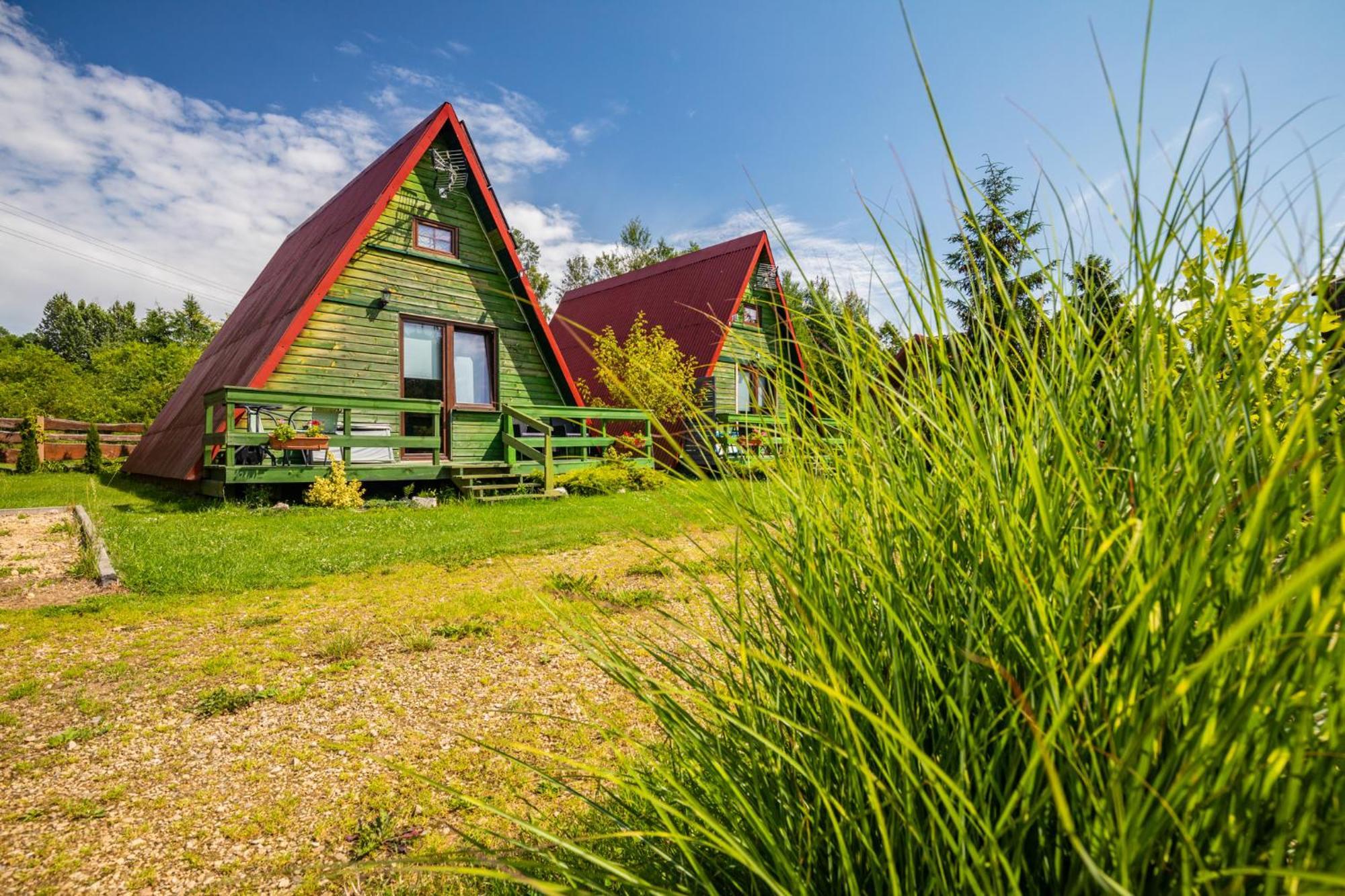Siedlisko Kępina Zdrój Apartamento Ostrow  Exterior foto